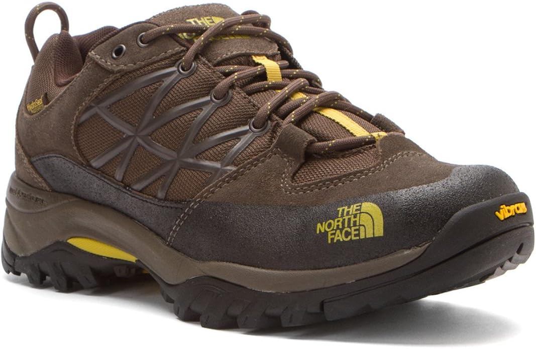the north face shoes mens