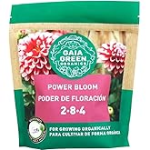 GG Power Bloom, 500 Gram