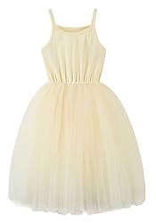 BGIRNUK Baby Girls Tutu Dress Sleeveless Toddler