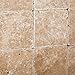 Walnut Travertine 4 X 4 Tumbled Field Tile - 4-pcs. Sample Set