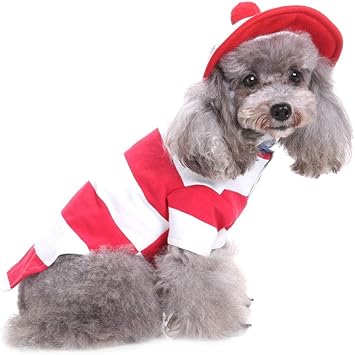 Wansan Noel Chien Vetement Rouge Vetements Pour Chien Petit Animal Chat Chien Au Chaud Vetements Noel Costume Polyester 29 30 43cm Amazon Fr Animalerie