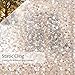 rabbitgoo Glass Window Film, Decorative Window Stickers, Privacy Window Clings, Static Cling Door Window Covering, Stained Glass Window Vinyl, Non Adhesive, Anti UV Pebble Pattern, 23.6 x 70.8 inches