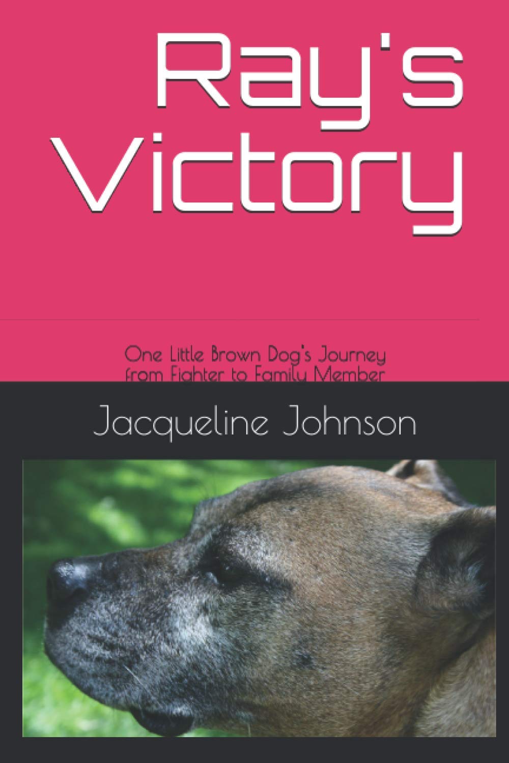 Ray's Victory: One Little Brown Dog's Journey from Fighter to Family Member