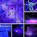 Hinmay UV Blacklight Flashlight, Super Bright 100 LED # 1 Best Powerful Black Light Flashlight 395NM Ultraviolet Urine Detector Flashlight for Home & Hotel Inspection, Pet Urine & Stain Detection