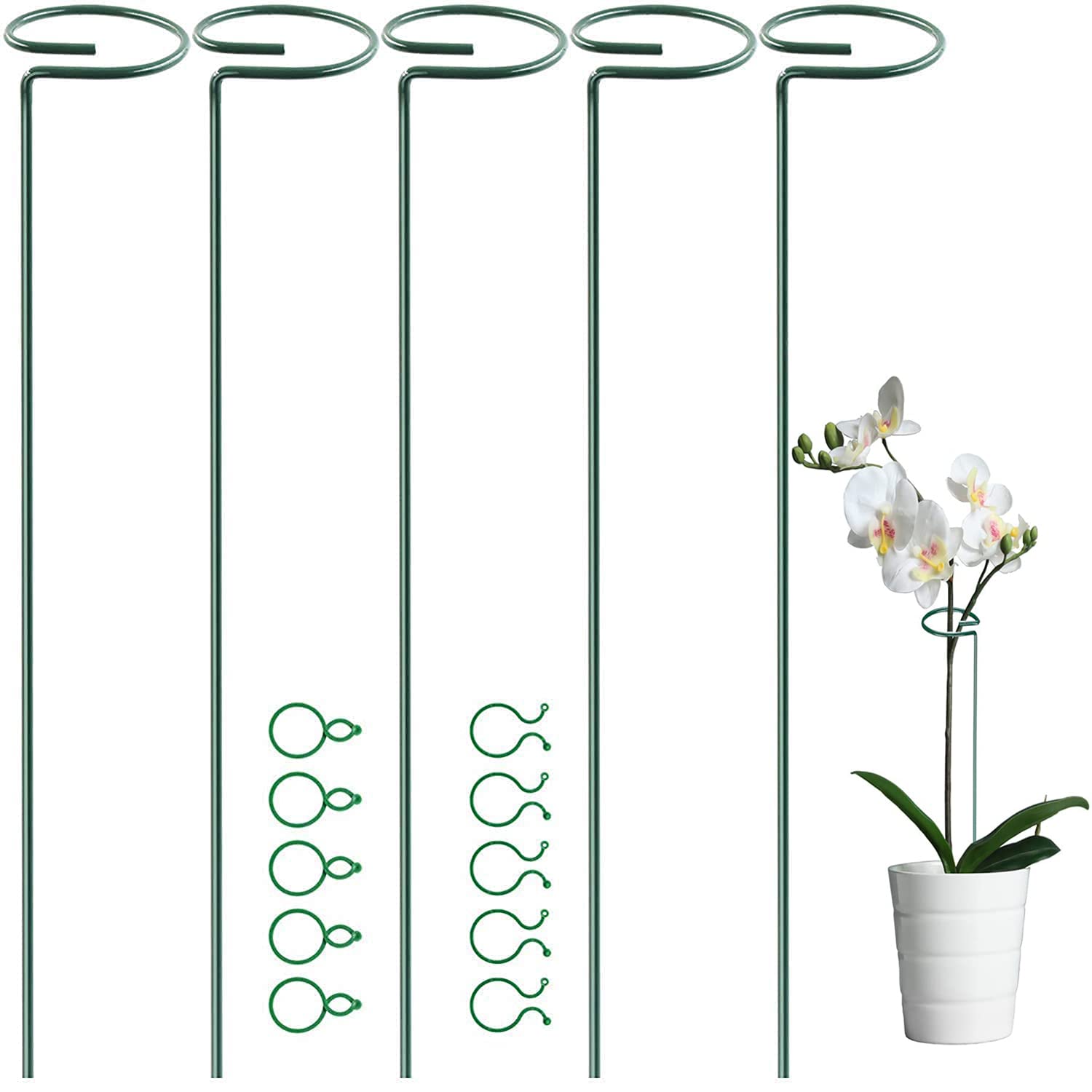 5 Pack 60 cm 23.5 inch Plant Support Stakes, Garden Single Stem Stake Amaryllis Cage Rings with 10 pcs Clips for Tomatoes Orchid Lily Peony Rose Flower (60 CM)