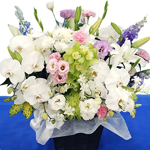 素敵な 名札付 お供え 花 アレンジメント Af 弔電 家族葬の花 フラワー 生花 ユリ 供花 16時〆即日発送可能 日曜除く 上記４色のミックス系 B07f64p2qg 16時〆即日発送可能 日曜除く 上記４色のミックス系 上記４色のミックス系 16時〆即日発送可能 日曜除く