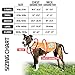 SafetyPUP XD Reflective Dog Vest. Hi-Visibility, Fluorescent Blaze Orange Dog Vest Helps Protect Your Best Friend. Safeguard Your PUP from Motorists & Hunting Accidents, On or Off Leash. (Med)