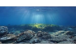 AWERT Ocean Floor Fish Tank Background Underwater Stone Aquarium Background 48x20 inches Vinyl