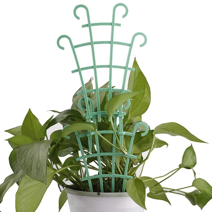 YIREAUD 6 Piezas de Soporte de Tallo de Planta DIY Mini Enrejado ...