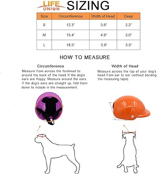 kool dawg doggie helmet