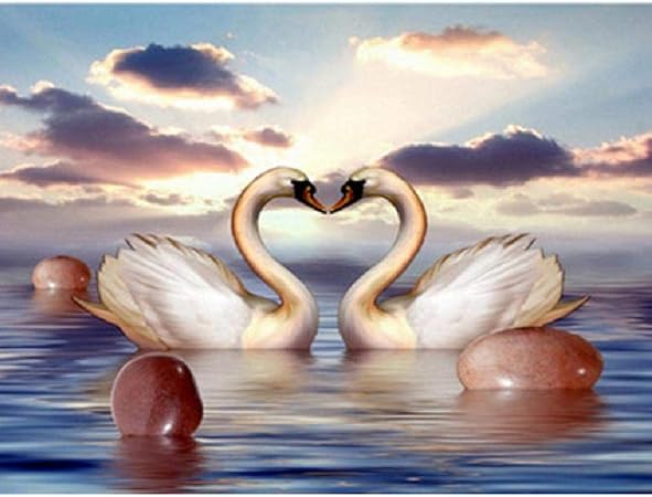 Gagalam Puzzle Jigsaw 1000 Pieces Cygne En Forme De Coeur Le Choix Pour Les Cadeaux Et La Decompression Amazon Fr Cuisine Maison