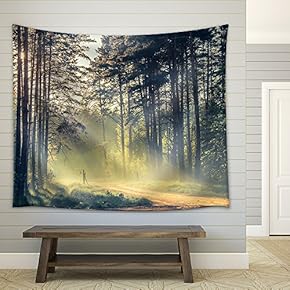 Evening Forest with Sun and Volume Light - Fabric Wall Tapestry Home Decor - 51x60 inches