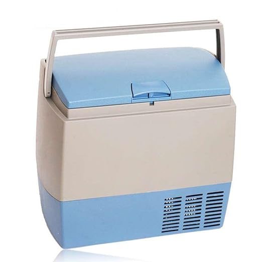 Compra SL&BX Nevera Pequeña, Mini Nevera Nevera Coche Nevera Coche ...