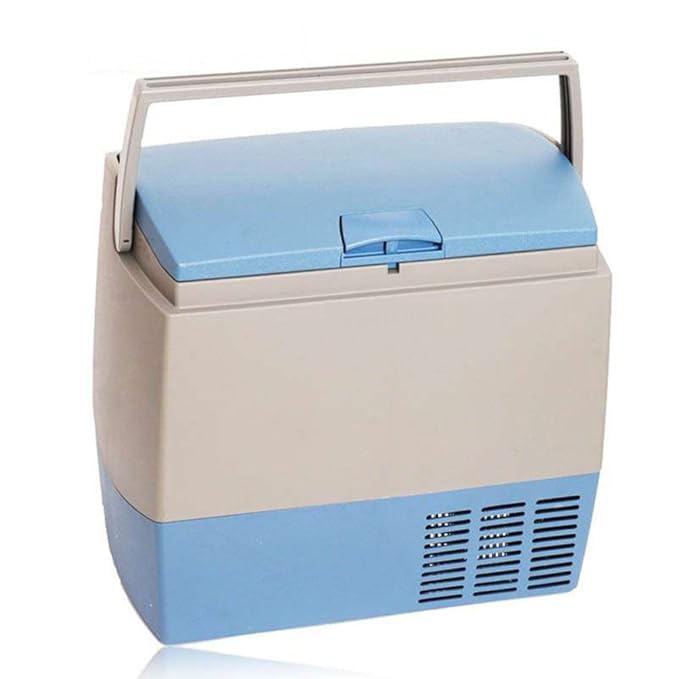 Compra SL&BX Nevera Pequeña, Mini Nevera Nevera Coche Nevera Coche ...