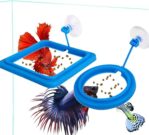 betta fish food amazon
