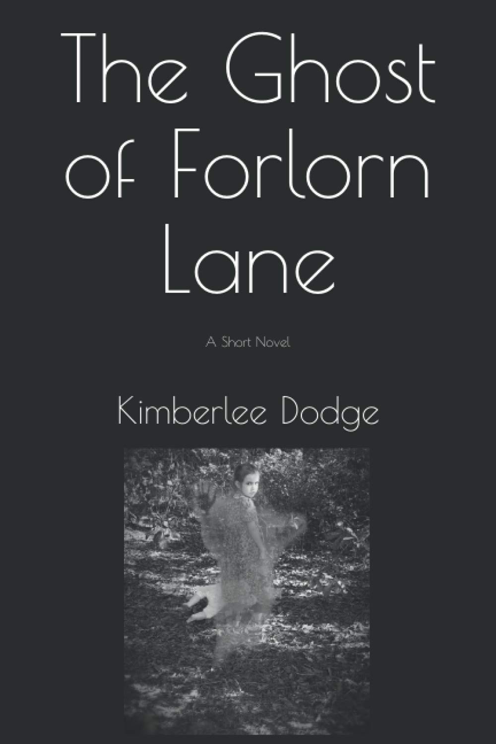 The Ghost Of Forlorn Lane A Short Novel Dodge Kimberlee 9798558429640 Amazon Com Books