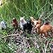 MICHLEY 12 Pieces Mini Jungle Animals Toys Set Wild Vinyl Plastic Animal Learning Party Favors Toys
