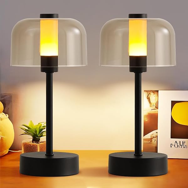 AIHYING 2-PACK BLACK NIGHT LIGHT,CORDLESS SMALL TOUCH 4000MAH...