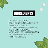 Peppersmith British Peppermint Mints 100% Plant Based Xylitol 50g Mighty Box view 2