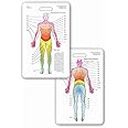 Neuro Dermatome Diagram Vertical Badge ID Card Pocket Reference Guide Neurology (1 Card)