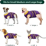 Kuoser Dog Recovery Suit Purple XS Post-Op E-Collar Alternative view 3