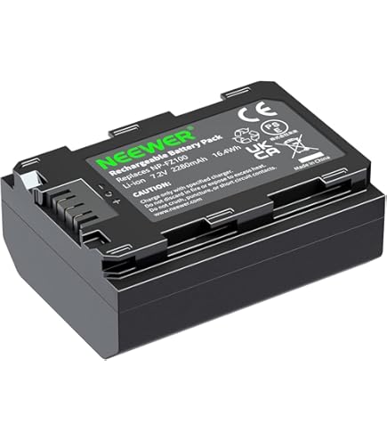 Amazon.com: BM Premium NP-FZ100 Battery for Sony Alpha 1, ZV-E1