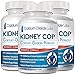 KIDNEY C.O.P. Calcium Oxalate Protector 120 Capsules, Kidney Support for Calcium Oxalate Crystals, Helps Stops Recurrence of Stones, Stronger Than Chanca Piedra Stone Breaker Supplements, 3 Pack