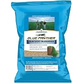 Jonathan Green Blue Panther Kentucky Bluegrass Grass Seed - 25 lb | Sod-Quality, Cool-Season Grass Seed, Heavy-Traffic Tolerance