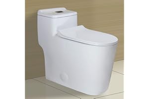 WinZo WZ5080 Elongated Dual Flush One Piece Toilet Low Profile 17.25" Comfortable Chair Height with Soft Closing Seat White