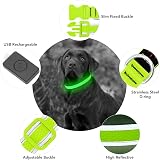 YFbrite Light Up Dog Collar LED USB Rechargeable Green Large view 5