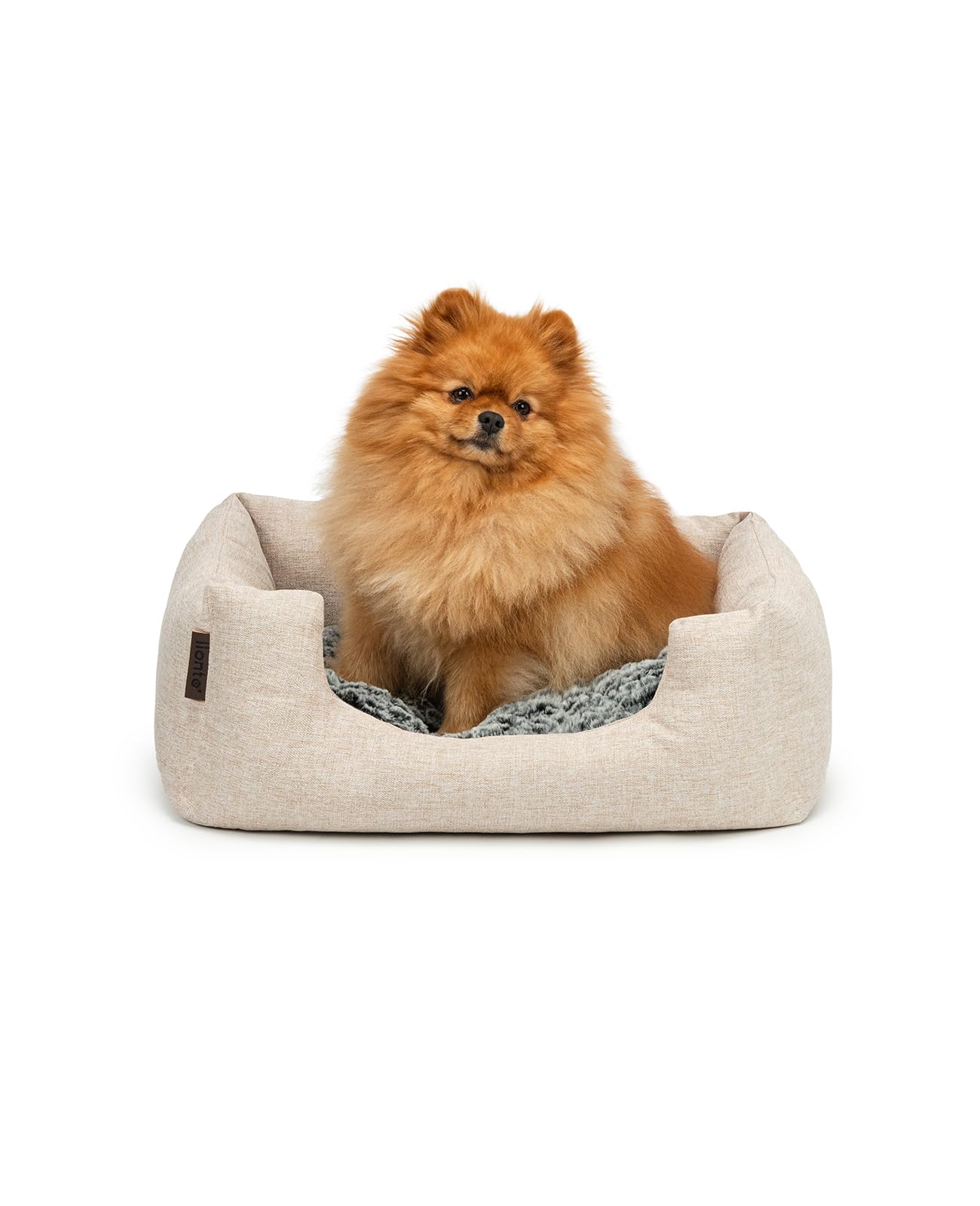 lionto Dog basket with fluffy reversible cushion, cosy pet bed in mottled design with low entry for dogs & cats, 60x50 cm, soft dog cushion, beige