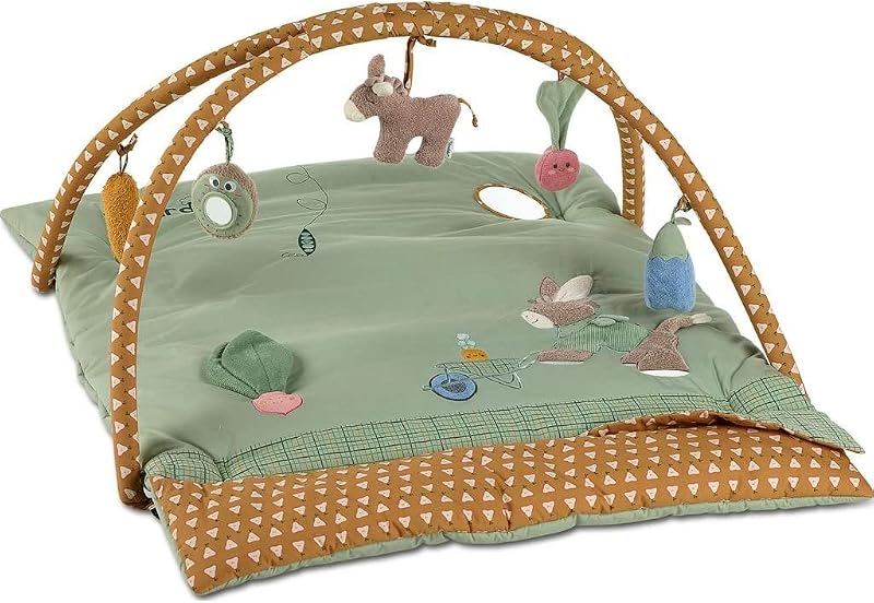 Arco da Gioco Emmilius per Bambini con funzioni — foto 1 di 8