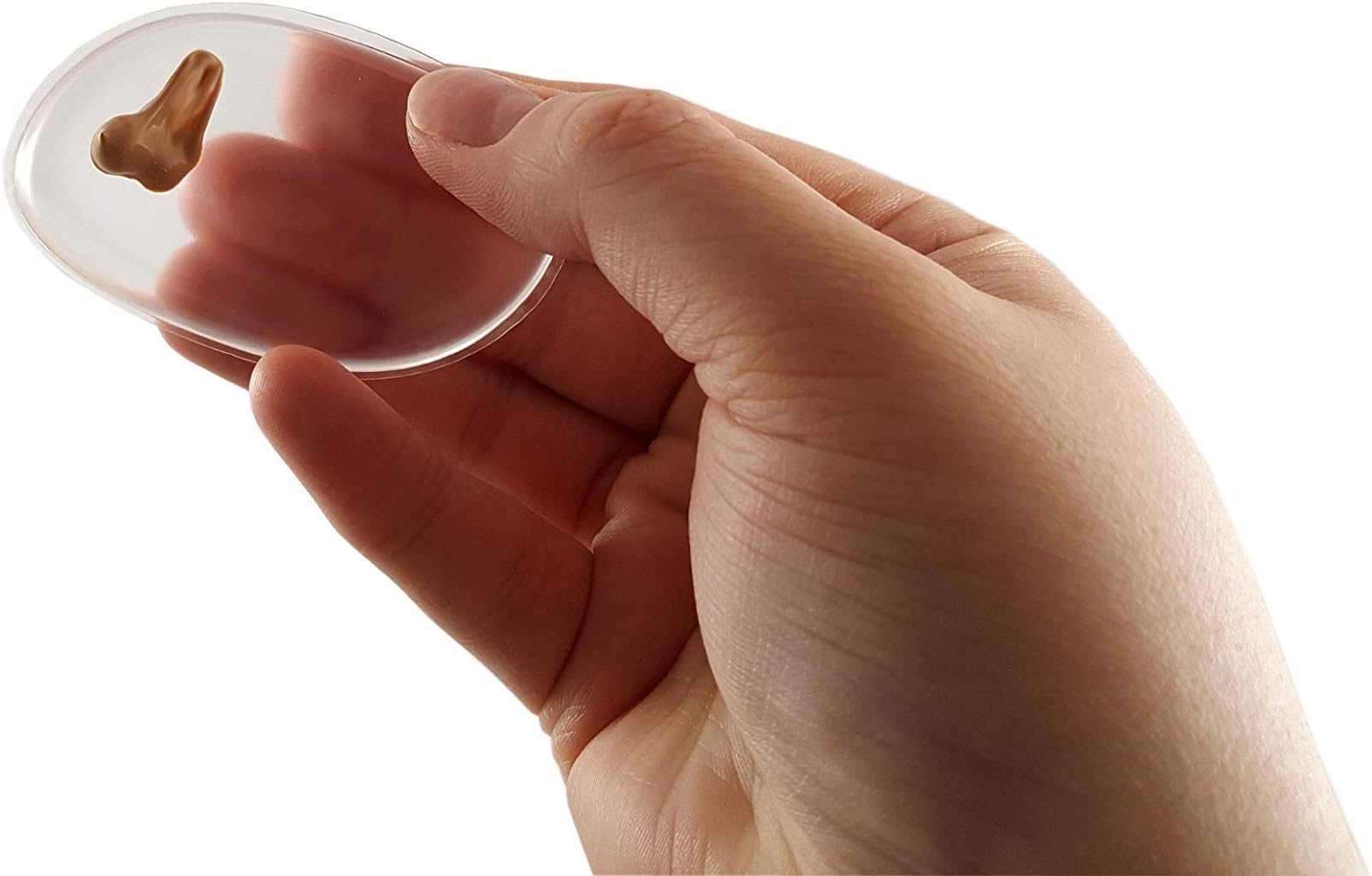 The Exceptional Clear Silicone Makeup Sponge