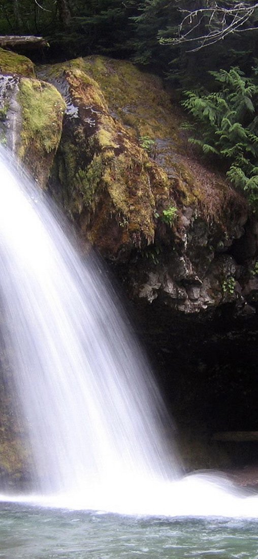 PeelitStickit, Beautiful Nature Wall Murals, ID-0825, vinyl