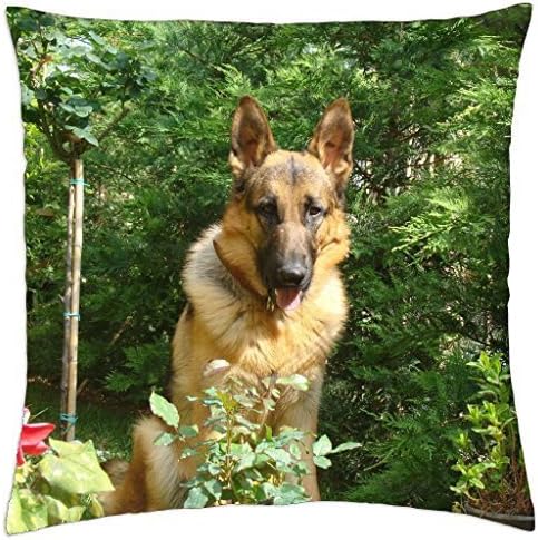 German shepherd - Throw Pillow Cover Case (18