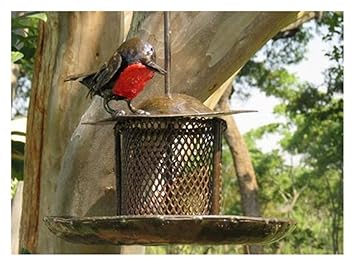 Gardman A01327 Robin And Small Bird Feeder Garden Outdoors Red