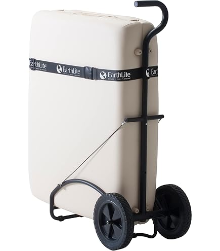 Amazon.com: EarthLite LMT Go-Pack – The Ultimate Massage Therapist