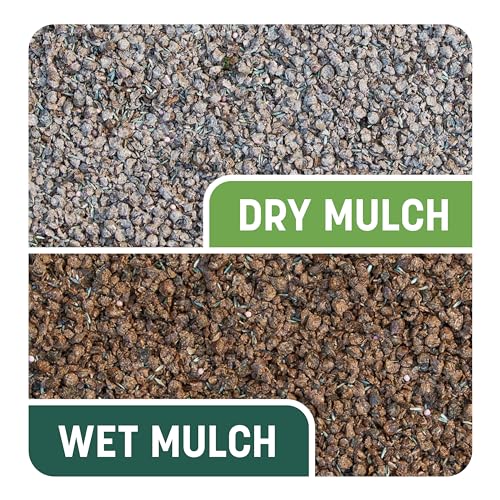 PENNINGTON SMART PATCH SUN AND SHADE MIX 10 LB