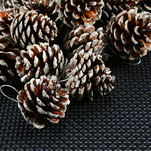 Coobey 24 Pieces Christmas Pine Cones Ornament Natural PineCones With String Pendant Crafts for Gift Tag Christmas Tree Party Hanging Decoration (Snow)