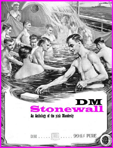 Stonewall ~ A DM Anthology