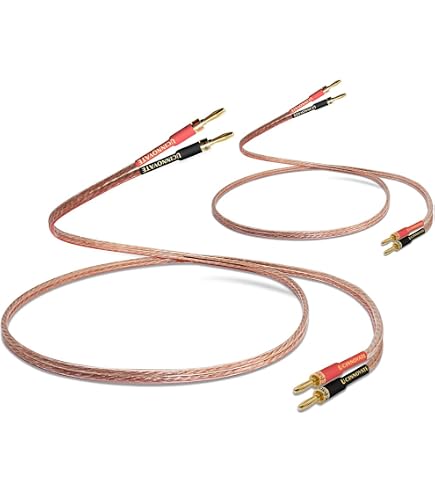 QED Silver Anniversary XT Pre-Term Speaker Cable 5M : Amazon.ca