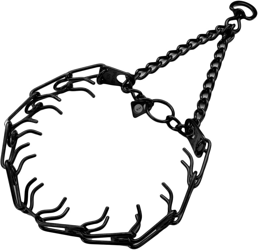 interesting facts about persian cats