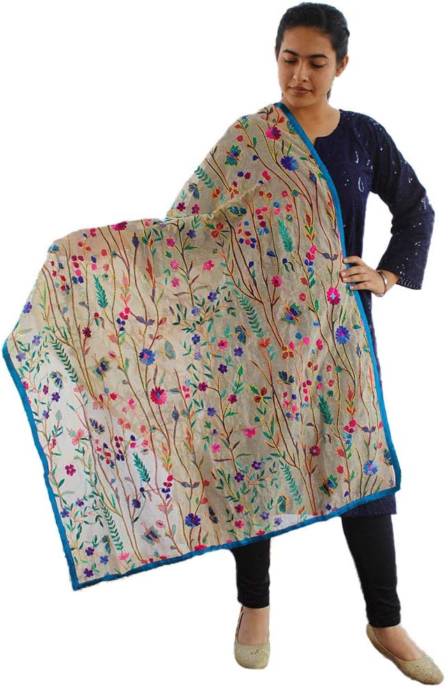 Sahej Suits Women's Chanderi Handwork Embroidery Phulkari Dupatta (Multicolour, Free Size)
