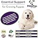 Primo Pup® Puppy Multi | Vitamin Supplement for Puppies | Supports Physical & Mental Wellbeing | Easy to Digest | No Artificial Colors, Flavors, or Grains | Veterinarian Developed | 60 Chewables