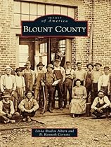 Ann Arbor in the 20th Century: A Photographic History (Images of America)