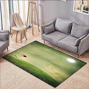 Living Room Area Rug,Surrealistic,Coneflower in The Field Under Moon Sky Spring Blossoms Graphic,with No-Slip Backing,3'3"x5'3" Pistachio and Fern Green