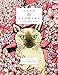 Cats & Flowers: A Coloring Book by Eva Carriere