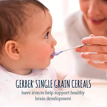 gerber single grain oatmeal