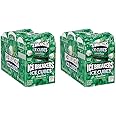 ICE BREAKERS Ice Cubes Spearmint Sugar Free Chewing Gum Bottles, 3.24 oz (6 Count, 40 Pieces) (Pack of 2)