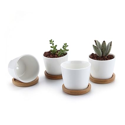 T4U 6.5CM Keramik Sukkulenten Töpfe Kaktus Pflanze Töpfe Mini Blumentöpfe mit Bambusuntersetzer Runde Weiß 4er Set